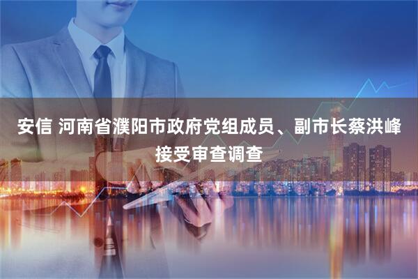 安信 河南省濮阳市政府党组成员、副市长蔡洪峰接受审查调查