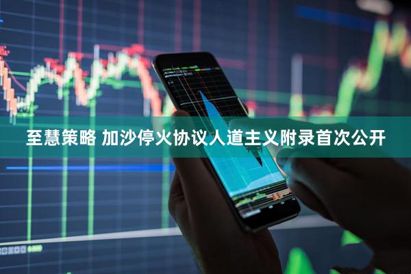 至慧策略 加沙停火协议人道主义附录首次公开