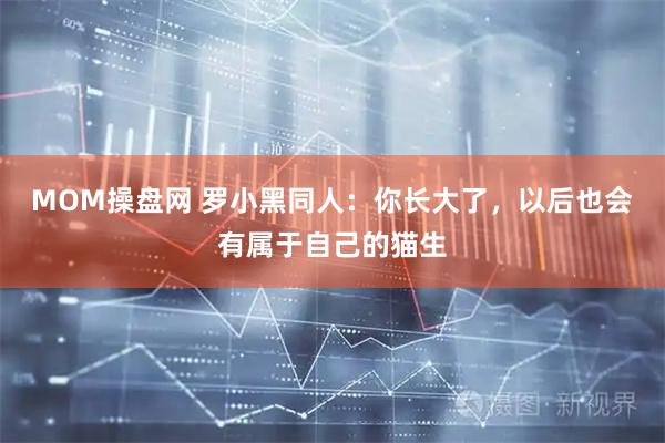 MOM操盘网 罗小黑同人：你长大了，以后也会有属于自己的猫生