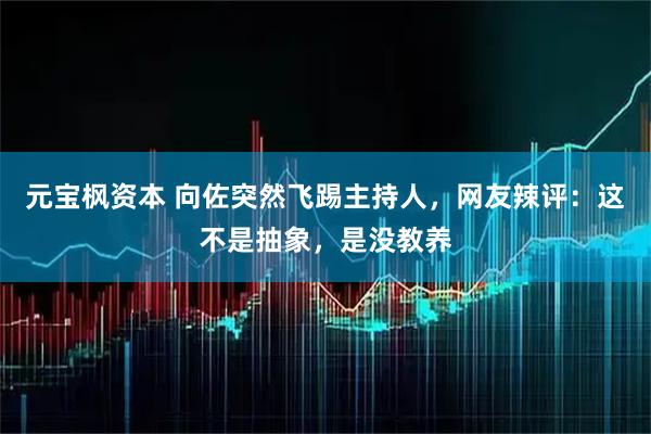 元宝枫资本 向佐突然飞踢主持人，网友辣评：这不是抽象，是没教养