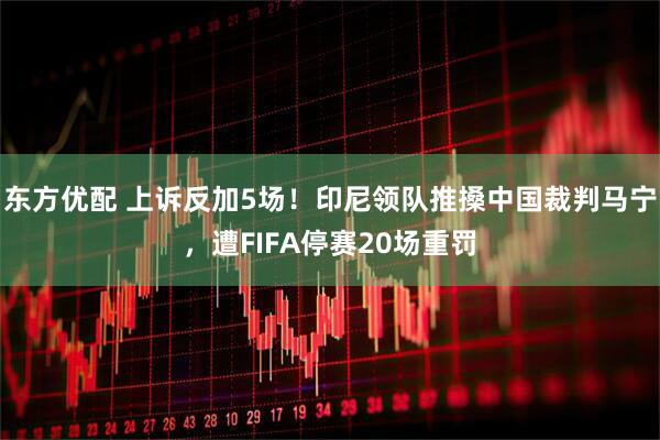东方优配 上诉反加5场！印尼领队推搡中国裁判马宁，遭FIFA停赛20场重罚