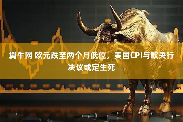 翼牛网 欧元跌至两个月低位，美国CPI与欧央行决议或定生死